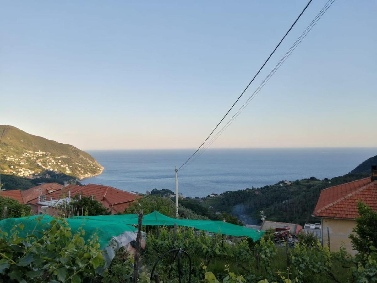 Sentieri Sul Mare Villa Moneglia Luaran gambar